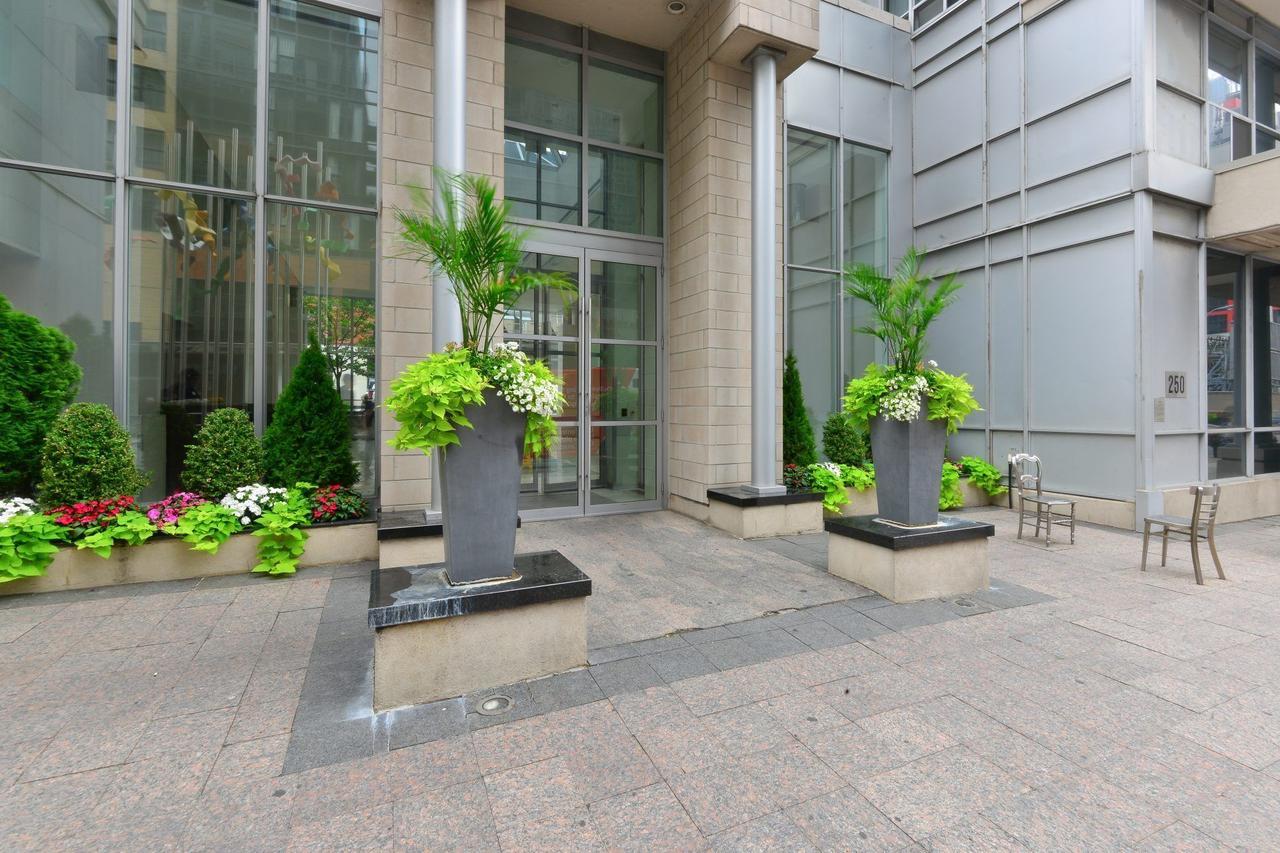 Cozy Penthouse Studio 多伦多 外观 照片